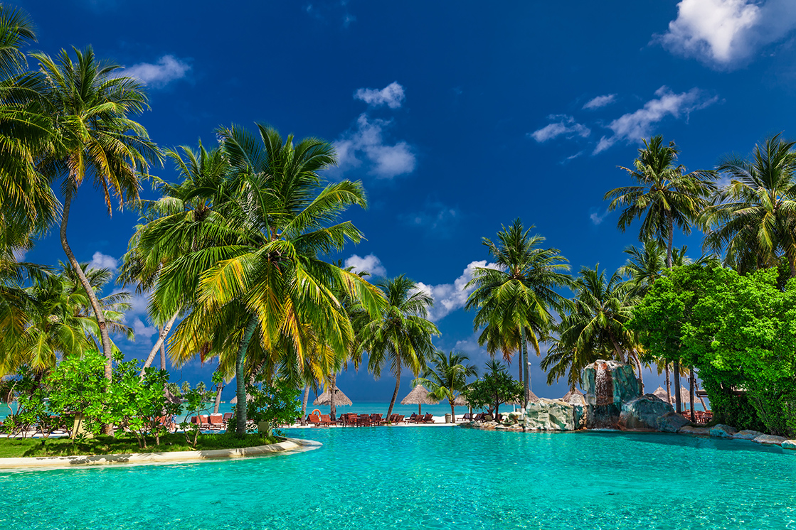 A tropical resort scene with clear turquoise pool water, lush palm trees, green foliage, and blue sky. Thatched umbrellas and lounge chairs are visible in the background near the beach.