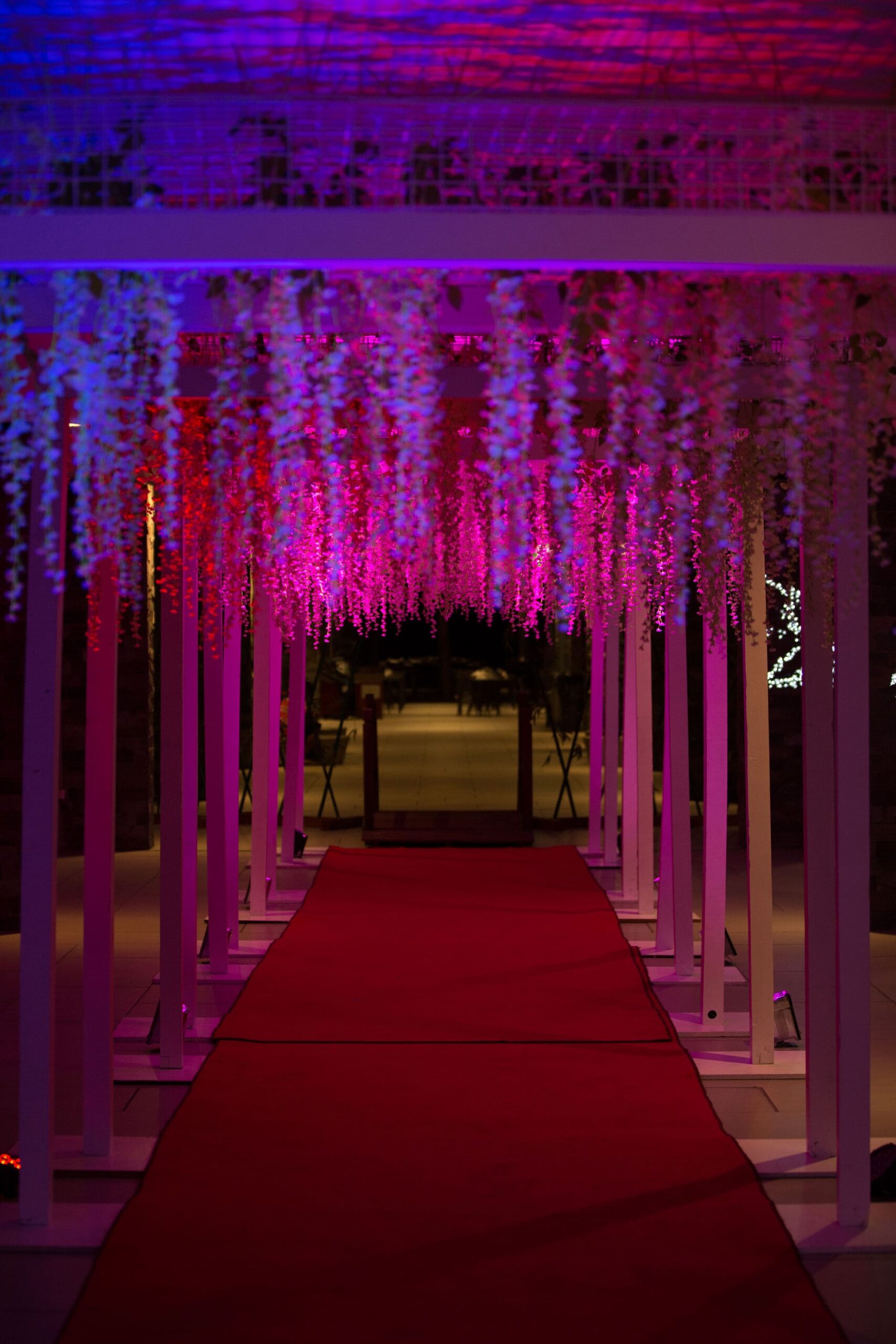 A red carpet runs beneath a white pergola adorned with hanging white flowers, illuminated by vibrant pink and purple lights at night.