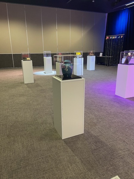 A gallery room with several white display pedestals, each holding a glass case containing an object. The room has gray carpet, plain walls, and is softly lit with some colorful lights.